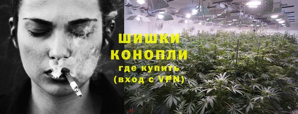 дживик Нефтекумск