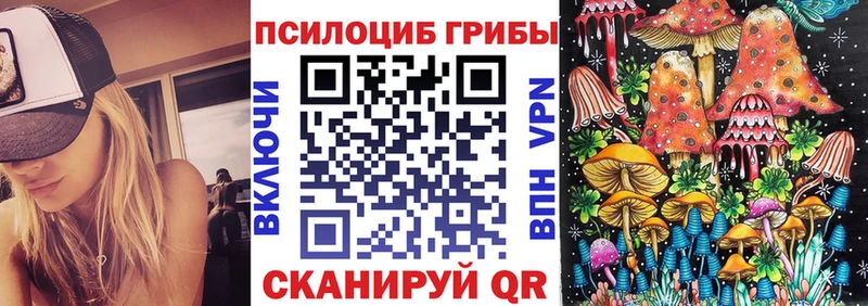 Псилоцибиновые грибы Magic Shrooms  Купить где  Усть-Лабинск 